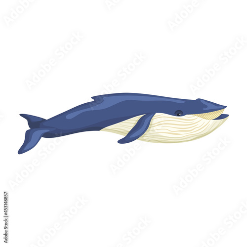 Blue whale isolated on white background. Cartoon character of ocean for children. Simple print with marine mammal.
