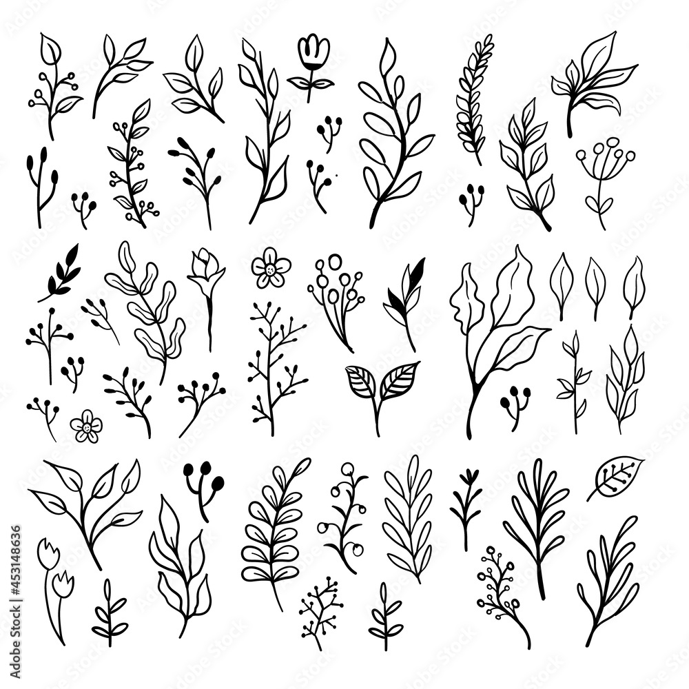 Fototapeta premium Floral doodles graphic elements vector set. Flowers and plants hand drawn illustrations.