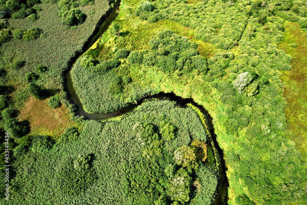 River in the wild. Aerial view of small river in middle of green field and forest in the wilderness. Natural Resource and Ecosystem. Wildlife Refuge Wetland Restoration. European Green Nature Scenery.