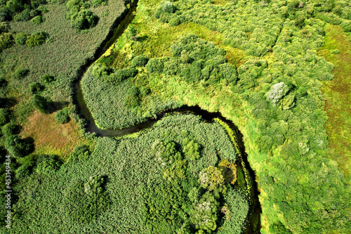 River in the wild. Aerial view of small river in middle of green field and forest in the wilderness. Natural Resource and Ecosystem. Wildlife Refuge Wetland Restoration. European Green Nature Scenery.