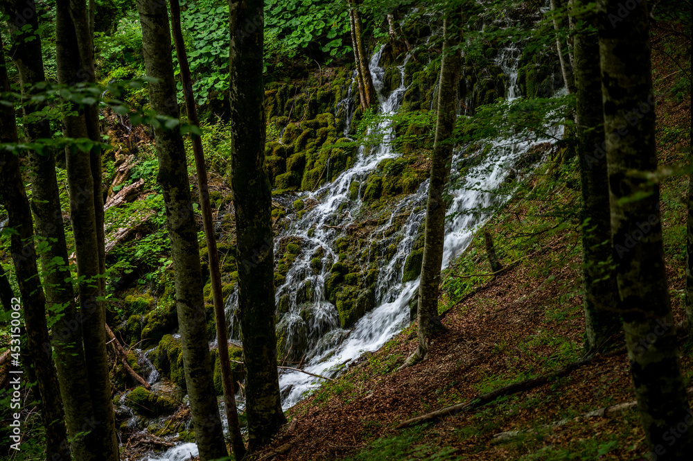 Plitvice Lakes, Croatia Plitvice Lakes, Croatia