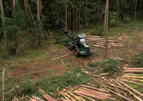 Foto Forest harvester during sawing trees in a forest
