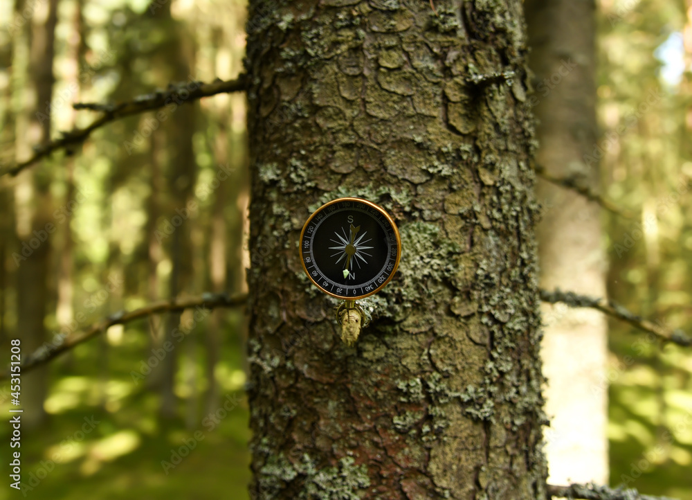 Compass on tree in the forest. Tourist compass for orientation on the terrain. Magnetic declination сalculator. Map reading and land navigation concept. Orient on maps Compass on tree in the forest. Tourist compass for orientation on the terrain. Magnetic declination сalculator. Map reading and land navigation concept. Orient on maps