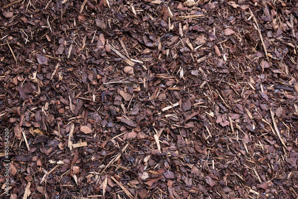 Mulch wood bark material background. Outdoors. Mulch wood bark material background. Outdoors.