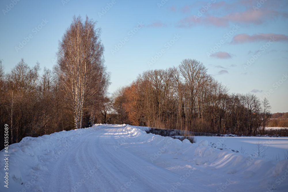 slippery forest country road in Latvian woods and fields December, January, February common usual landscape in northern Europe plains slippery forest country road in Latvian woods and fields December, January, February common usual landscape in northern Europe plains