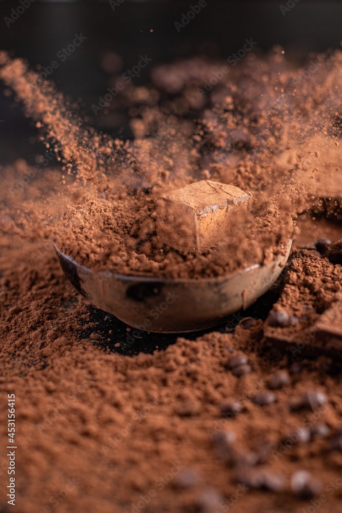 candies chocolate truffle in cocoa powder natural dessert sweets meal snack on the table copy space food background rustic candies chocolate truffle in cocoa powder natural dessert sweets meal snack on the table copy space food background rustic