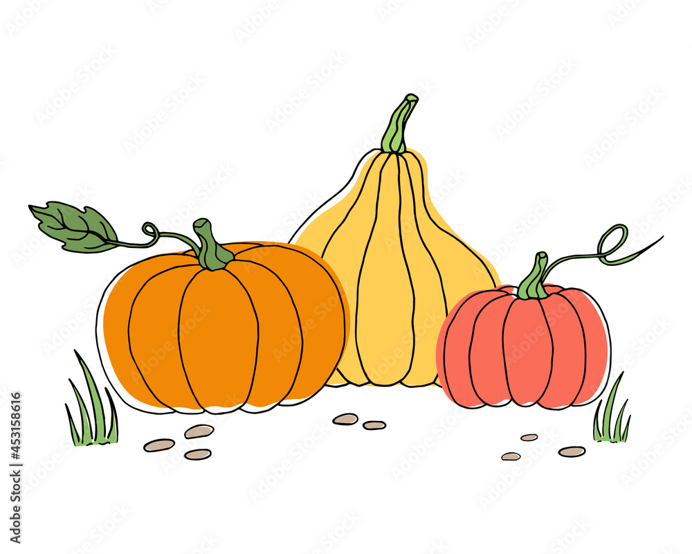 Autumn illustration with pumpkins, grass and pebbles.
Harvest time. Vector image in the doodle style. Autumn illustration with pumpkins, grass and pebbles.
Harvest time. Vector image in the doodle style.