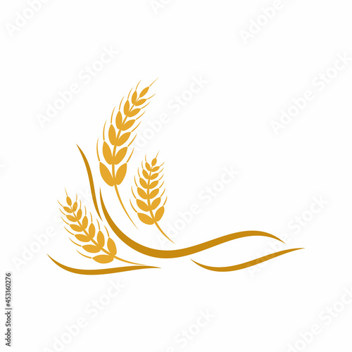 Agriculture wheat vector icon design