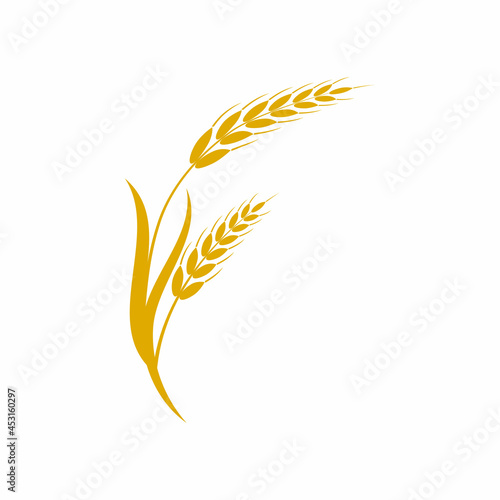 Agriculture wheat vector icon design