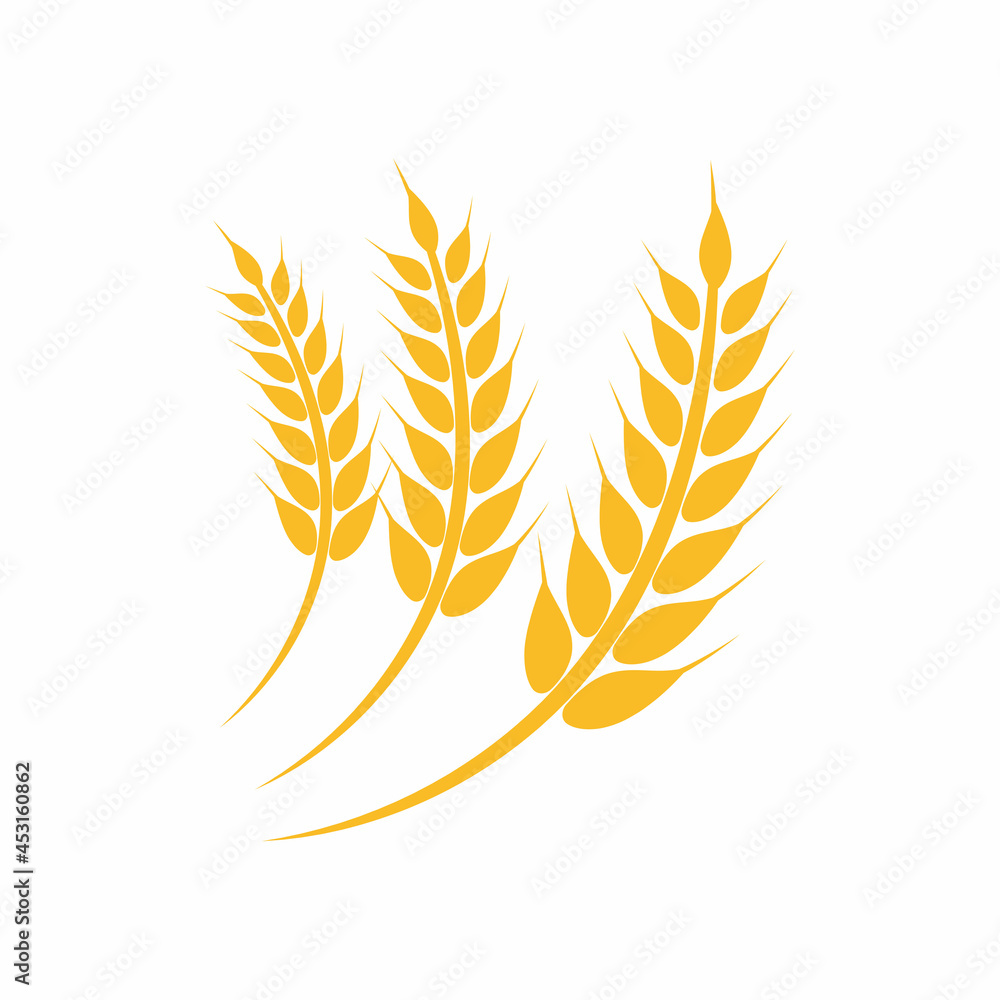 Agriculture wheat vector icon design Agriculture wheat vector icon design