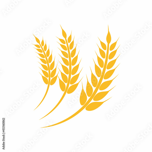Agriculture wheat vector icon design
