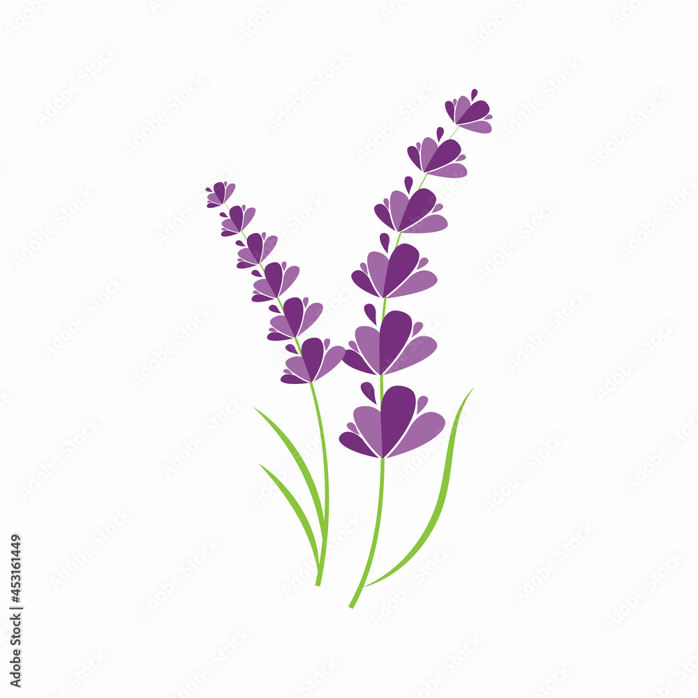 Lavender Logo Template vector symbol nature Lavender Logo Template vector symbol nature