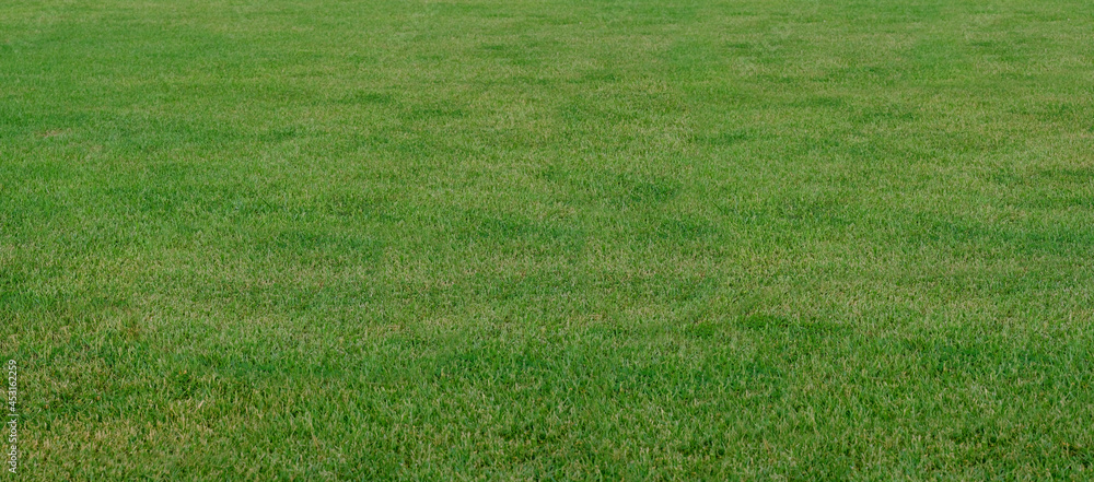 Green grass background texture. Golf or football field ,earth day Green grass background texture. Golf or football field ,earth day