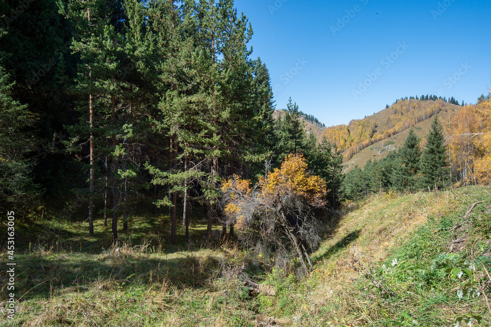 Fototapeta premium autumn in the mountains