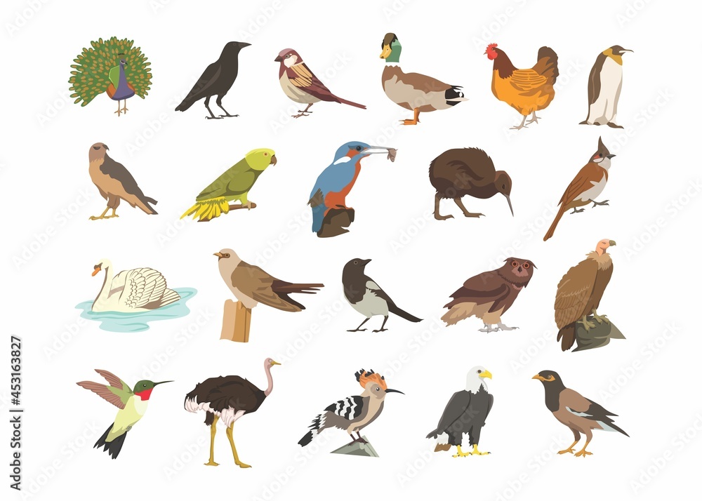 Birds Line Drawing clipart Birds Line Drawing clipart
