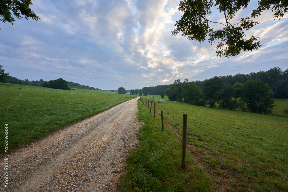 Lonely path with pebbles leads straight through the valley. Branches of an oak tree in the foreground. Sky with dense clouds. Rural area in germany.