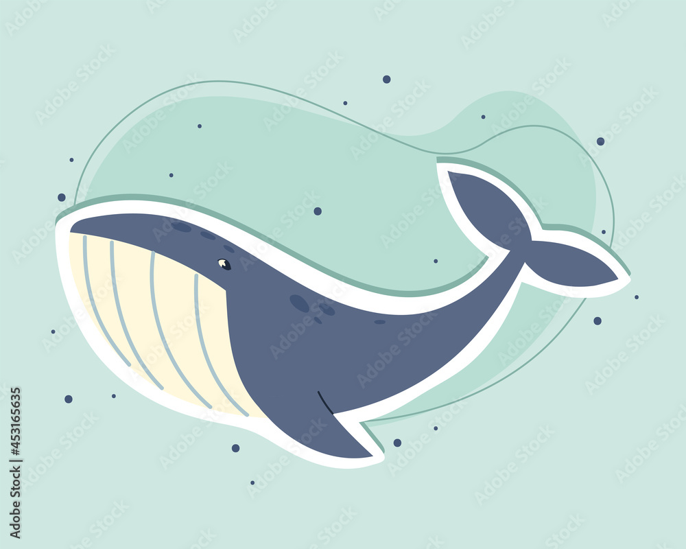 Obraz premium whale animal sea