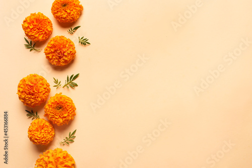 Marigold yellow flowers background