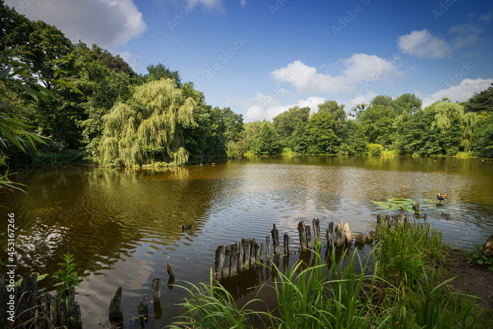 Pond in Botanical Garden, Kaliningrad, Russia