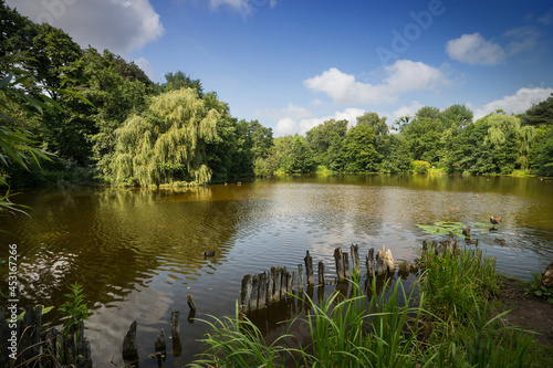Pond in Botanical Garden, Kaliningrad, Russia