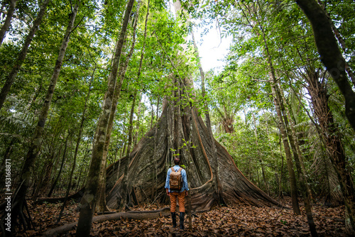 Fotografi Explorer travelers observing the trees of the Amazon