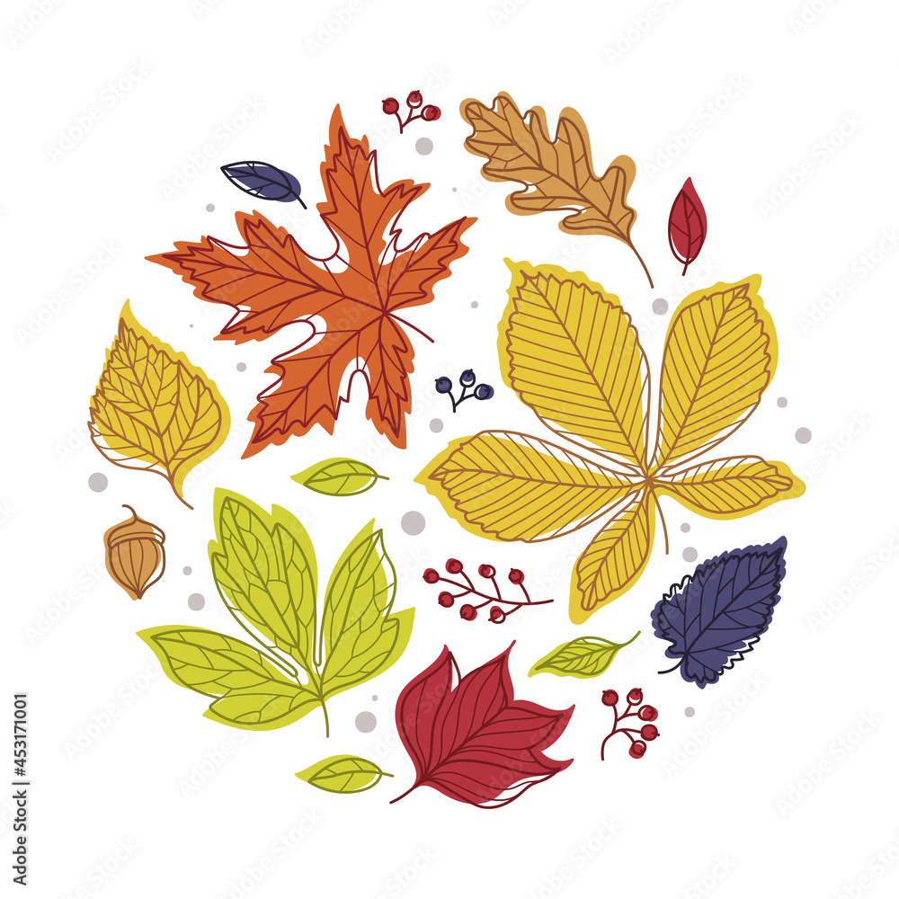 Round Shape with Bright Autumn Foliage of Different Leaf Color Vector Arrangement