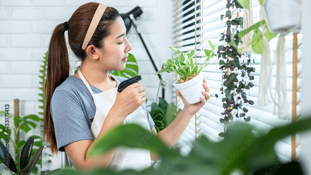 Asian woman gardener is holding a small houseplant to using spray bottle watering plants and take care of plants Asian woman gardener is holding a small houseplant to using spray bottle watering plants and take care of plants