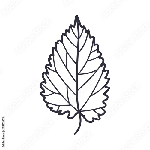 Hand Drawn Autumn Leaf Contour or Outline Vector Illustration