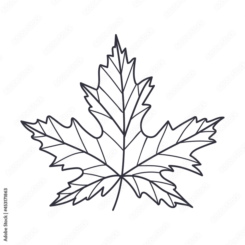 Hand Drawn Autumn Maple Leaf Contour or Outline Vector Illustration Hand Drawn Autumn Maple Leaf Contour or Outline Vector Illustration