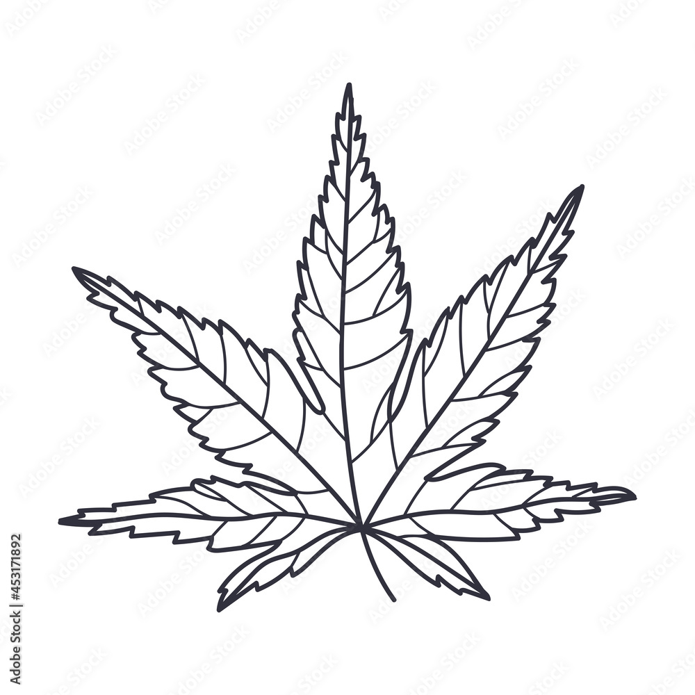 Hand Drawn Autumn Leaf Contour or Outline Vector Illustration Hand Drawn Autumn Leaf Contour or Outline Vector Illustration