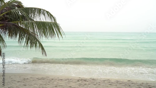 Beach in raining day with coconut palm tree on foreground