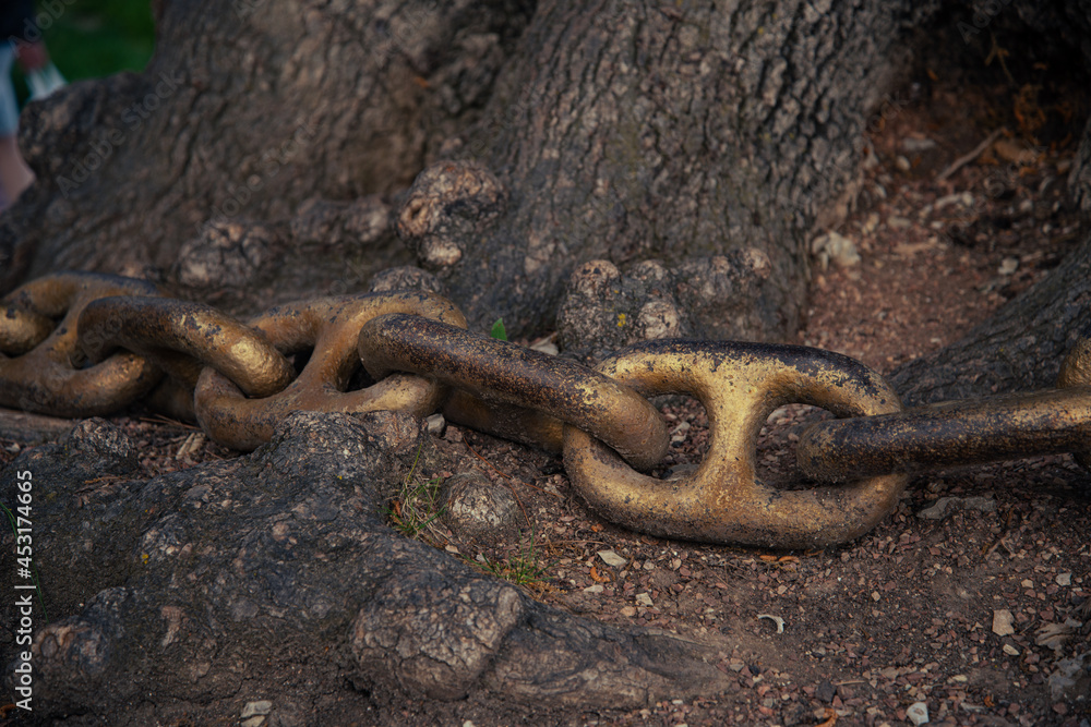 A gilded metal chain at the trunk of a tree. A gilded metal chain at the trunk of a tree.