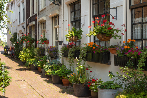 Fototapeta Naklejka Na Ścianę i Meble -  A narrow street with colorful flowering plants in flower pots in the picturesque town of Kampen in the province of Overijssel.