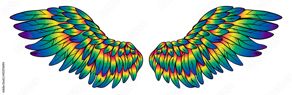 Obraz premium Beautiful magic bright rainbow wings, vector illustration