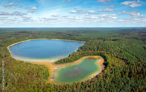 Aerial view of lake between the forest