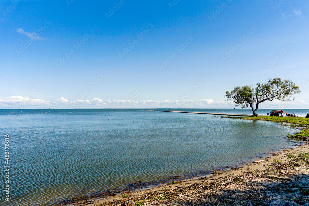 view of the Curonian Lagoon with a lone tree on the shore