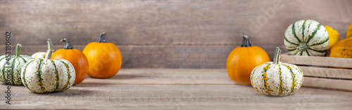 Thanksgiving background. Thanksgiving composition. Thanksgiving pumpkins on wooden background. Banner. Copy space