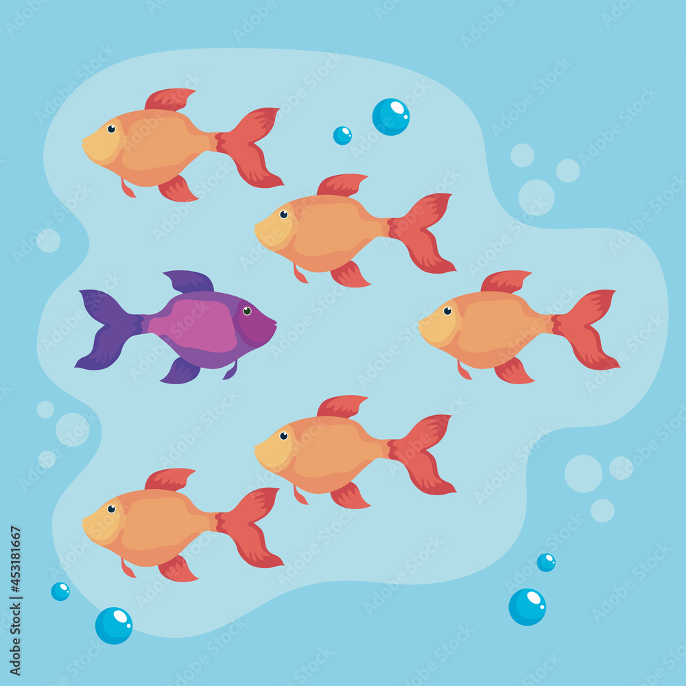 unique concept fishes unique concept fishes