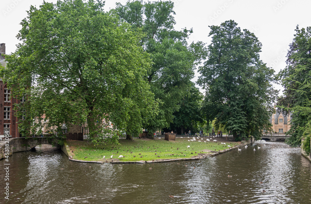 Brugge, Flanders, Belgium - August 4, 2021: Green park-like swan and duck breeding grounds with black canal water in front just outside Beguinage.