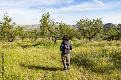 Woman in an olive orchard at Mountain range at Cuevas San Marcos, Andalusia, Spain.