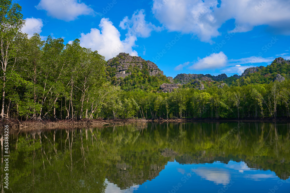 Pure nature landscape river among mangrove forests Pure nature landscape river among mangrove forests