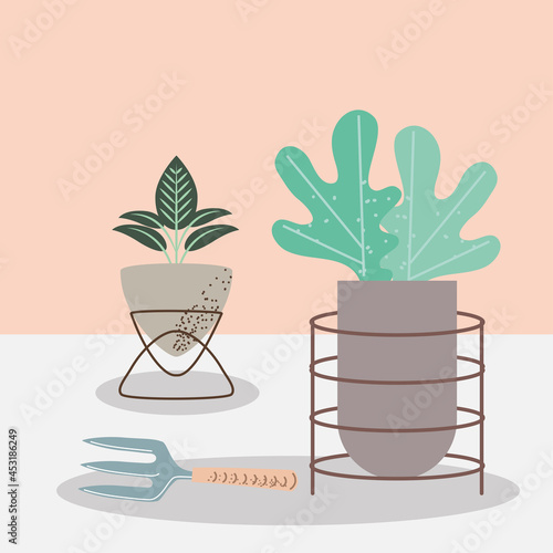 garden houseplants and rake