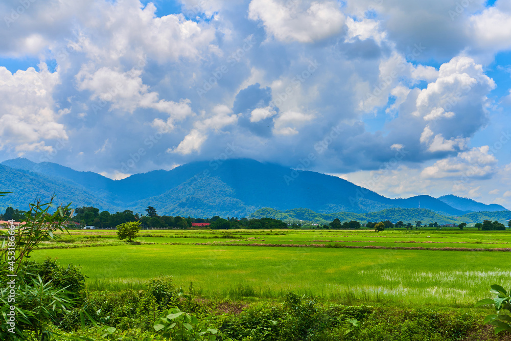 Amazing Asian nature landscape. Huge green rice field with mountains on background Amazing Asian nature landscape. Huge green rice field with mountains on background