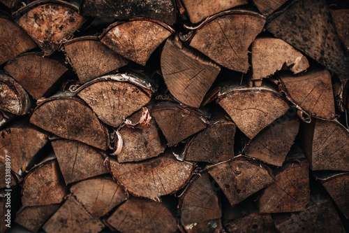 Close-up detail of chopped logs of a tree tied with a rope. Background with natural texture. Wooden. Rustic.