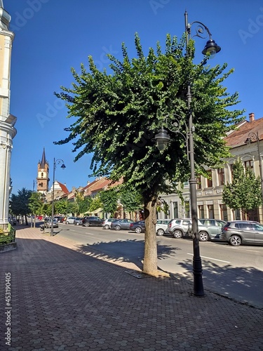 Gheorghe Sincai Street Romania Bistrita 2021, august , Evangelical Church 