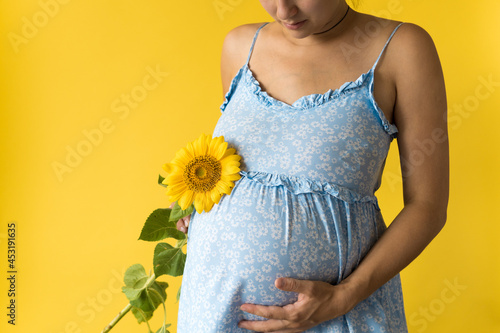 vertical portrait pregnant unrecognizable woman in floral blue dress hold and sniffs big fresh live sunflower flower rubs belly on yellow background. Motherhood, femininity, hot summer, nature concept