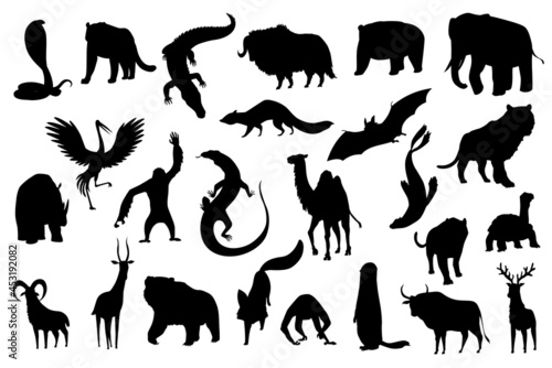 Collection of cute animals. Hand drawn silhouette animals which are common in Asia. Icon set isolated on a white background