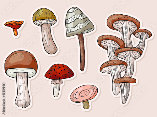 Vector autumn doodle set with forest stickers mushrooms in line art style.
