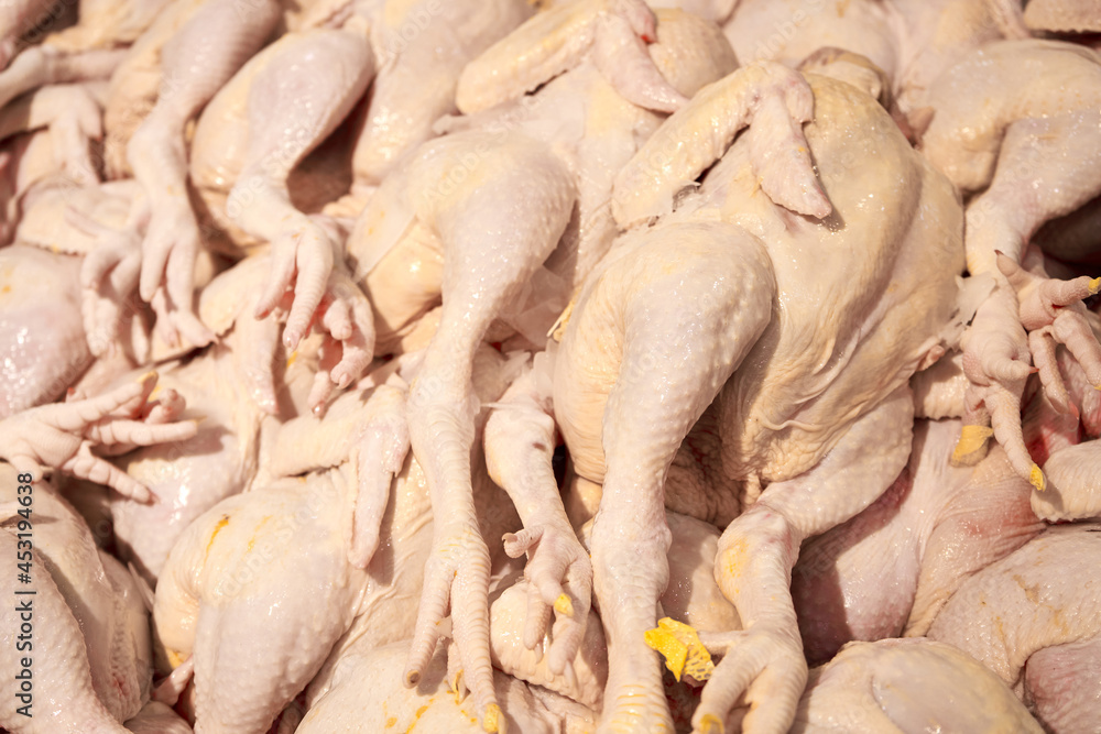 Plucked carcasses of chickens on the counter of a grocery store Plucked carcasses of chickens on the counter of a grocery store