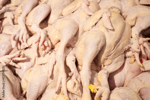 Plucked carcasses of chickens on the counter of a grocery store